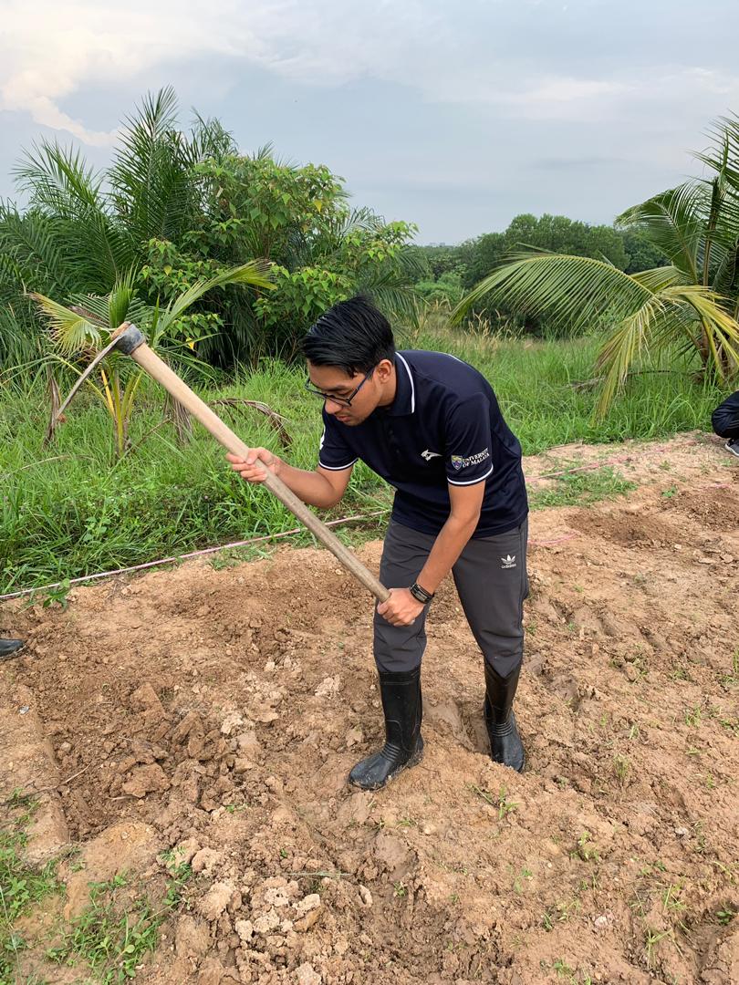 Cara Penanaman Di Batas Tanaman