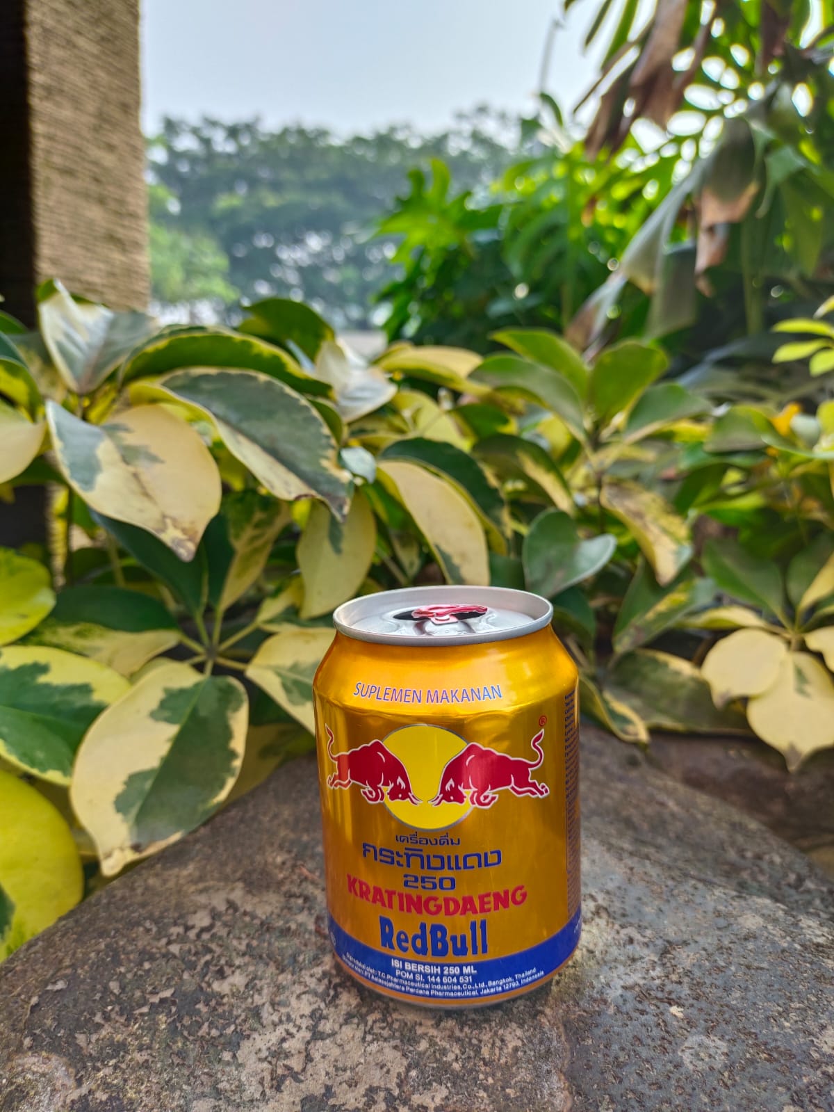 Kratingdaeng Red Bull