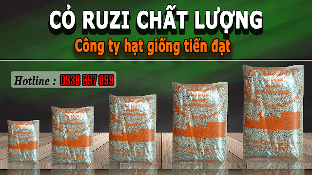 Mua hạt giống cỏ ruzi ở đâu giá rẻ uy tín chất lượng