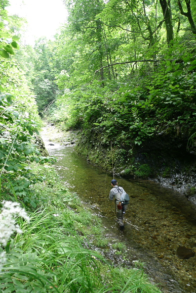 P1120823.jpg