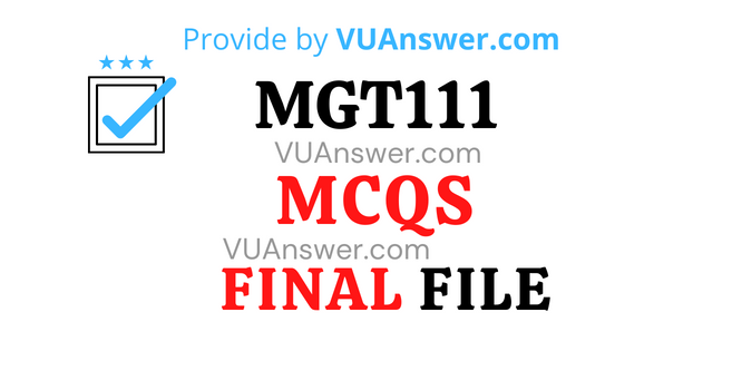 MGT111 MCQs Solved PDF Final Term