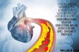 उच्च कोलेस्ट्रॉल समाधान: एक मसाला से कम होगा कोलेस्ट्रॉल, तरीके से करे सेवन (High Cholesterol Solution: Cholesterol will be reduced by one spice, consume it properly)