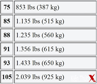 Cách đọc thông số lốp xe để lựa chọn lốp khi độ xe