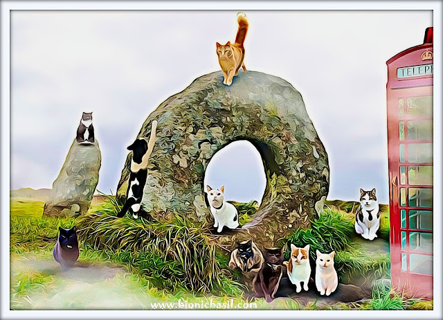 The B Team's The Men-an-Tol Stone Circle Selfie ©BionicBasil® Caturday Art Blog Hop