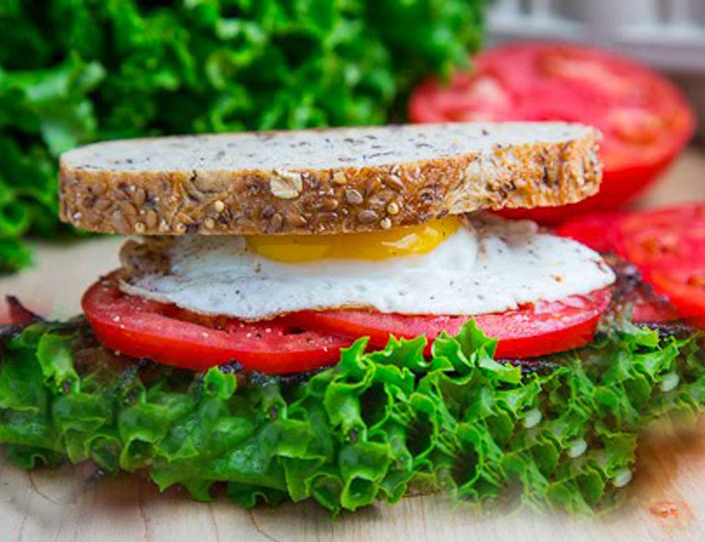 Aneka Resep Masakan Internasional: Simple Turkey Sandwich