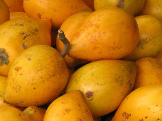 canistel fruit images