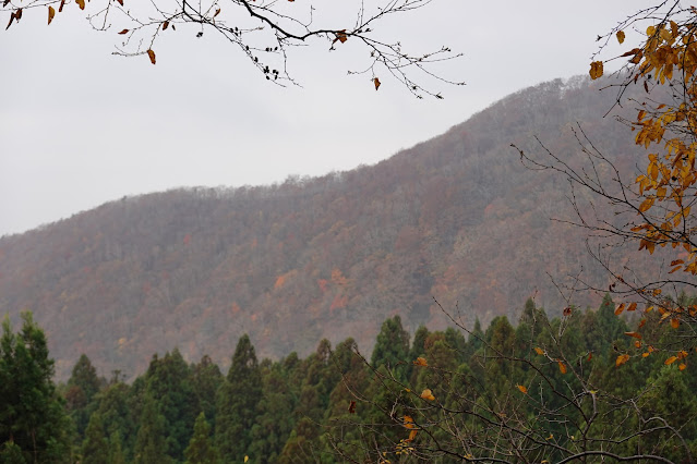 鳥取県道45号倉吉江府溝口線（大山環状道路）　からの眺望