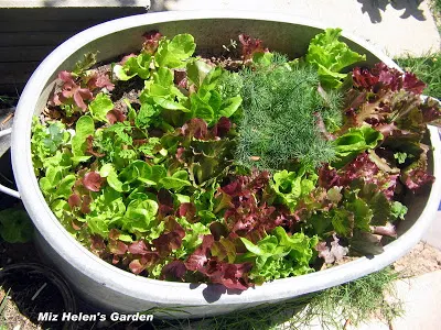 Whats For Dinner Next Week at Miz Helen's Country Cottage