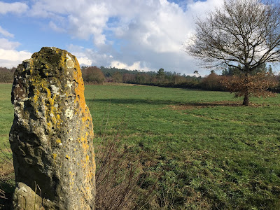 Megalithican Iberia: Menhir of Pedra Chantada / Menhir de Pedra Chantada en Santaballa (Vilalba, Lugo) by E.V.Pita