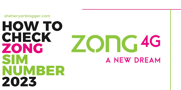 How to Check Zong Number 2023