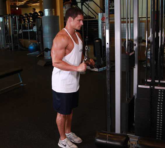 triceps egzersizleri