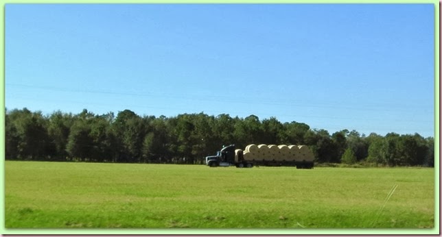 hayIMG_7674