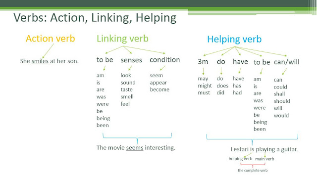 action verb, linking verb, dan helping verb dan contoh kalimatnya