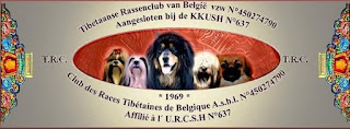 Tibetaanse Rassenclub