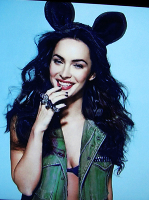 Amanda Seyfried  Megan  on Megan Fox