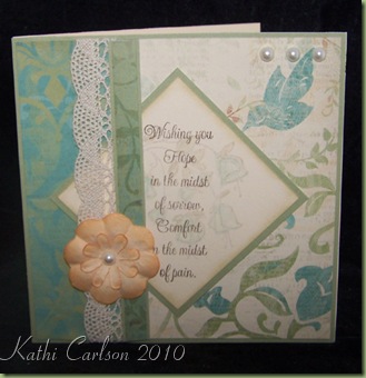 Sympathy Sentiments_Feb 2010