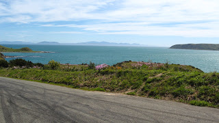 Mana Island and South Island background