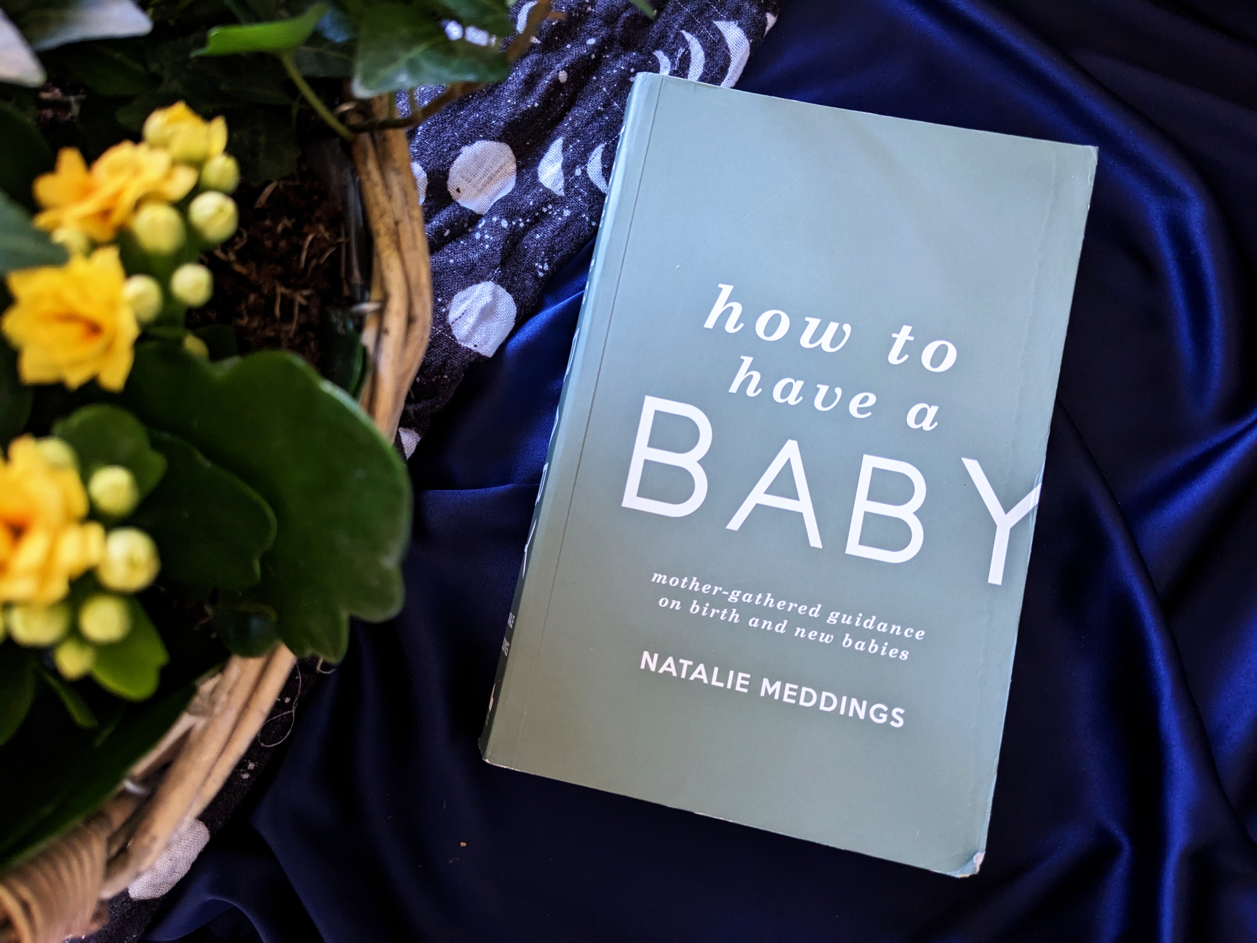 Natalie meddings how to have a baby