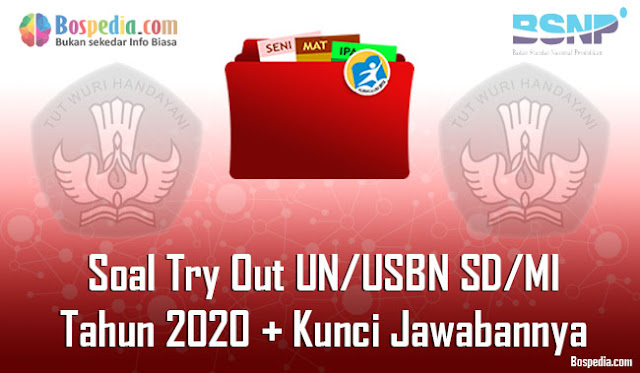 Lengkap - Soal Try Out UN/USBN SD/MI Tahun 2020 Berserta Kunci Jawabannya
