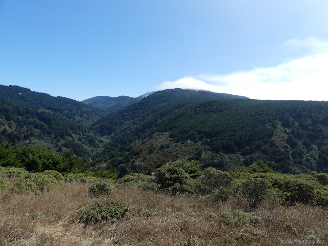 Fourmile Creek with marine layer cresting one side