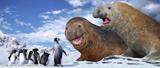 The Elephant Seals-Happy Feet