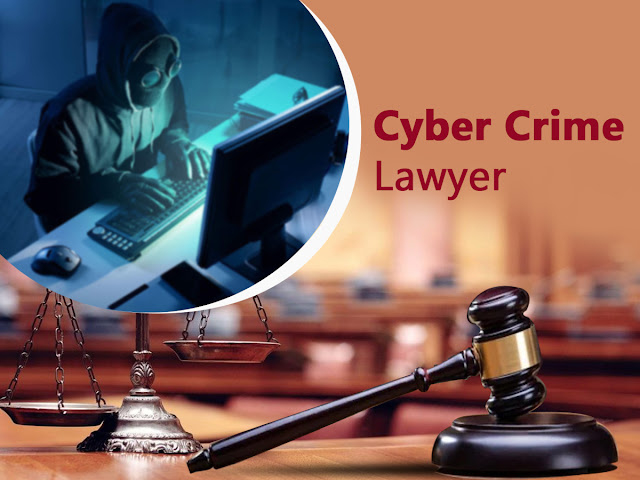 cyber crime lawyer