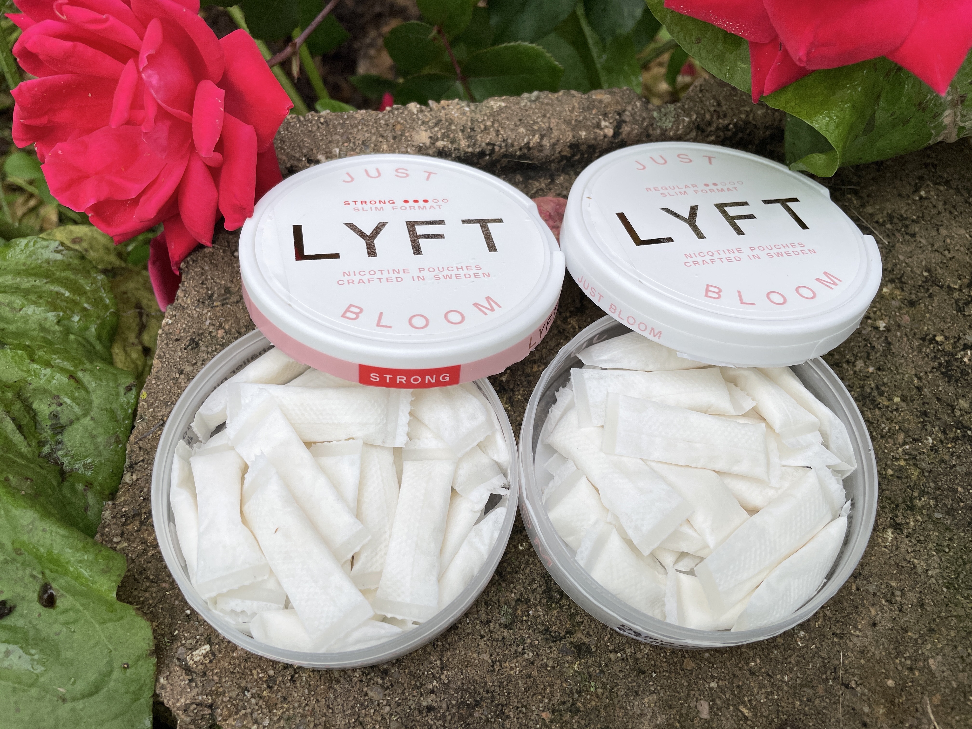 LYFT Just Bloom Strong Slim - Snus Farmer