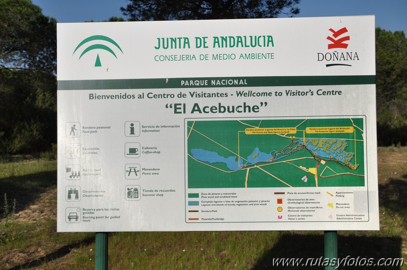 Parque Nacional de Doñana