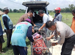 Peristiwa kematian di Kabupaten Ngawi