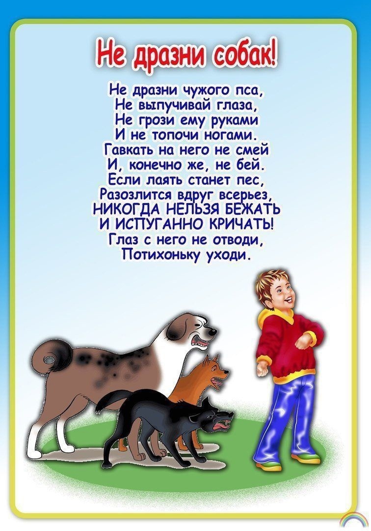 Стихотворение собака тема. Стихи. Стихи про безопасность для детей. Правила безопасности для детей в стихах. Стихи о собаках для де ей.