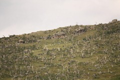 IMG_4758