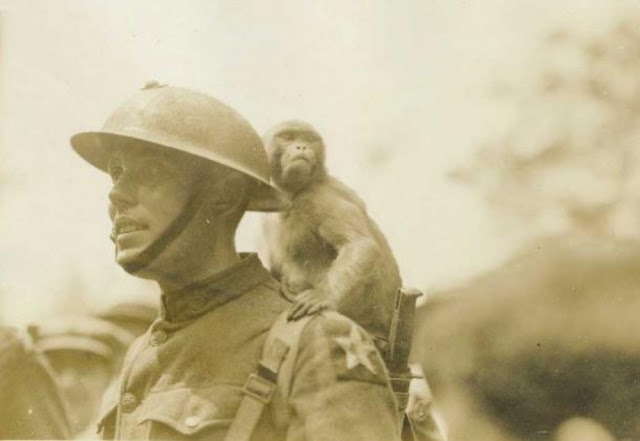 На фото морской пехотинец и обезьяна, 1921 г.