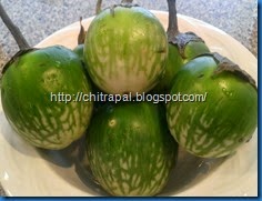 Chitra Pal South Indian Style Baingan or Eggplant (9)