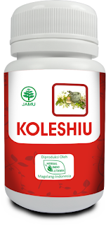 koleshiu,atasi kolesterol,herbal,herbal indo utama