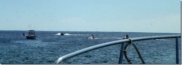 St Johns River 068cs