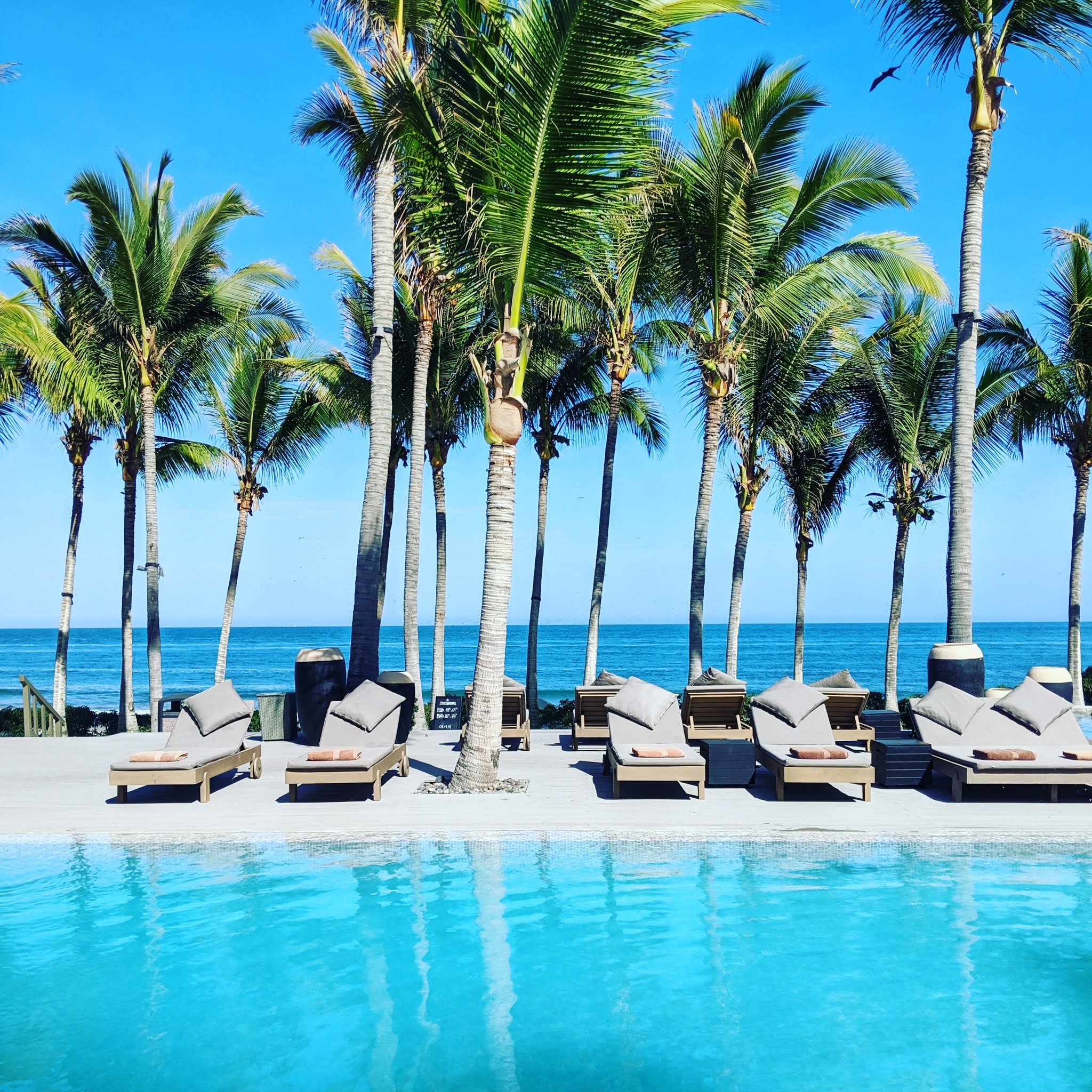 Pool, palm trees and sea views at Arennas Máncora