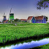 Wind Mill Green Field Wallpaper