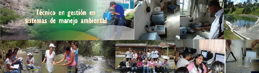 Dimensión Ambiental