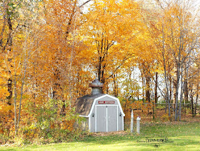 Shed Makeover with paint and Old Sign Stencils Bliss-Ranch.com