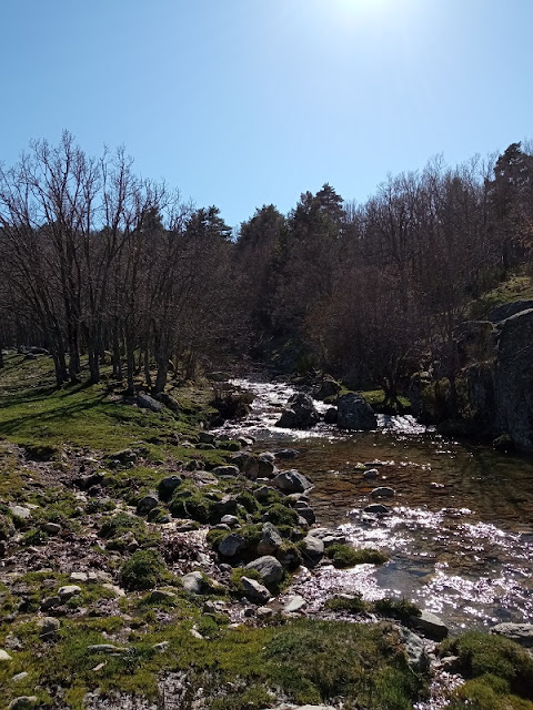 Arroyo del Aguilón en la zona de las Praderas