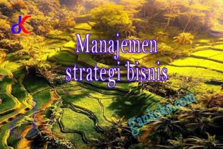 https://www.gankoko.com/2021/11/manajemen-strategi-bisnis.html