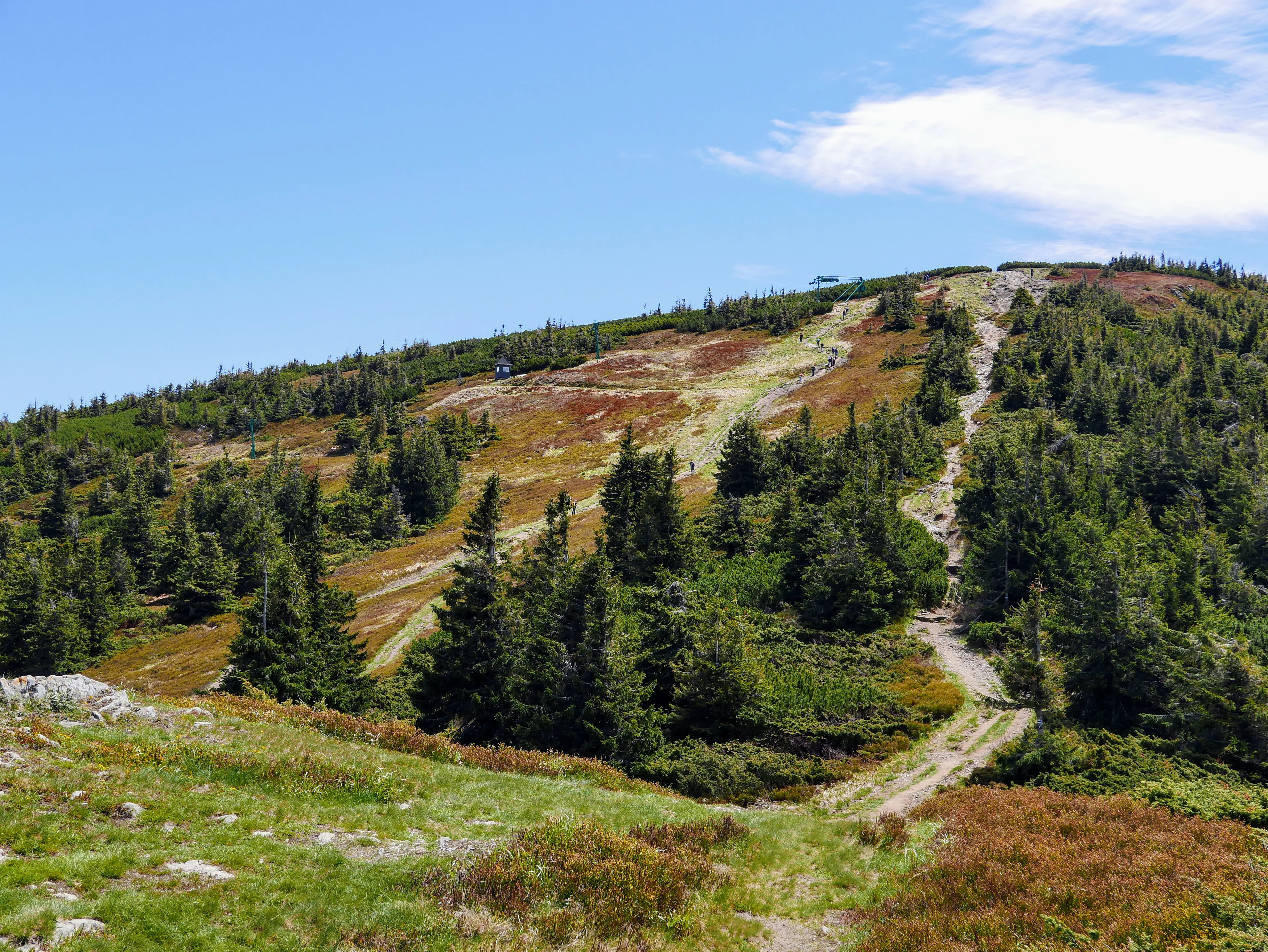 Beskid Żywiecki: Pilsko 1557 m n.p.m.