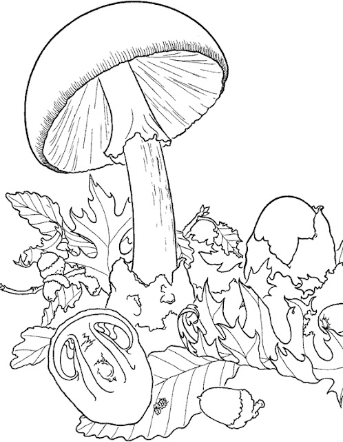 Mushroom House Coloring Page