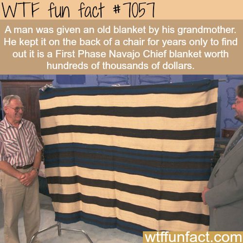 Amazing Random Facts 