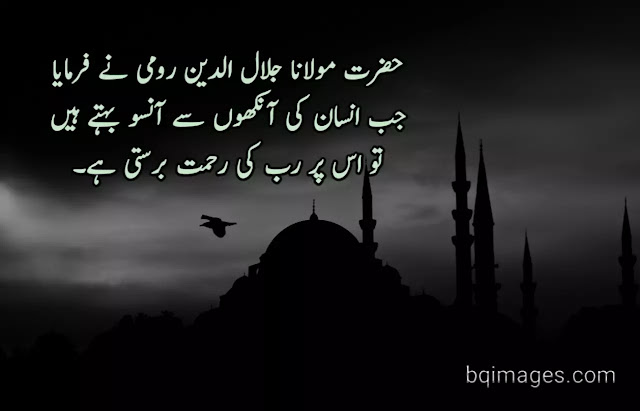 Quotes in Urdu by Maulana Jalaudin Rumi