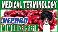 Learn Medical Terminology Online Free Medicine