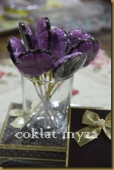 Coklat Myza 19.3.2011 034