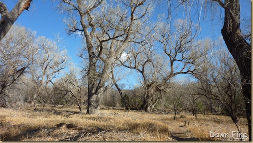 patagonia sonoita nature consevancy_012