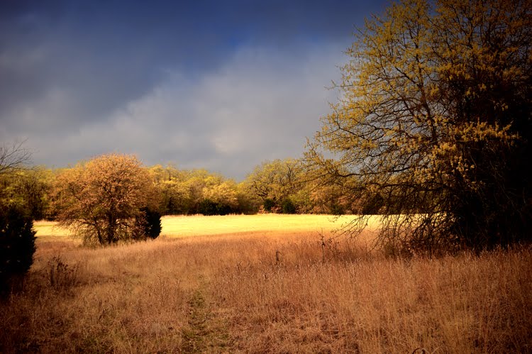 Oklahoma Landscape Photography