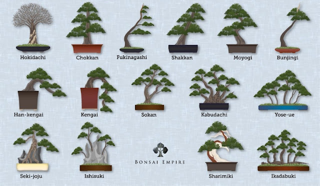 gaya-gaya bonsai